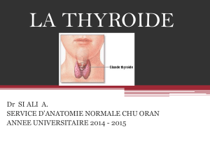 LA THYROIDE Dr  SI ALI  A.