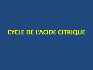 Cycle de l'acide citrique