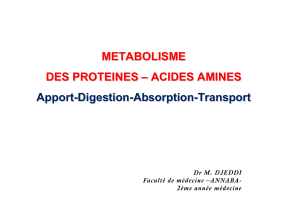 METABOLISME DES PROTEINES – ACIDES AMINES Apport-Digestion-Absorption-Transport