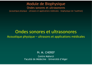 Ondes sonores et ultrasons