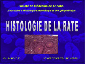 Faculté de Médecine de Annaba Laboratoire d’Histologie-Embryologie et de Cytogénétique