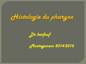 Histologie du pharynx