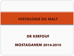 HISTOLOGIE DU MALT DR KERFOUF MOSTAGANEM