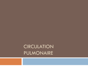 CIRCULATION PULMONAIRE