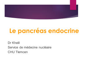 Le pancréas endocrine Dr Khelil Service  de médecine  nucléaire CHU Tlemcen