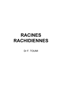 RACINES RACHIDIENNES Dr F. TOUMI