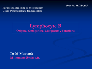 Lymphocyte B  Dr M.Messatfa