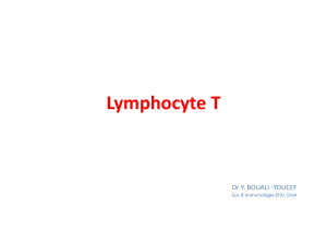 Lymphocyte T Dr Y. BOUALI -YOUCEF Sce d’immunologie EHU Oran