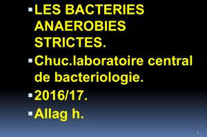 LES BACTERIES ANAEROBIES STRICTES. Chuc.laboratoire central