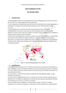 Kyste hydatique du foie