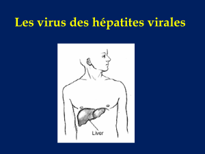 Les virus des hépatites virales