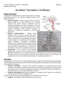 Accidents Vasculaires Cérébraux Rappel anatomique