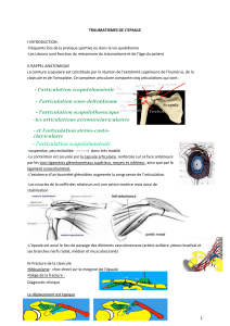 Traumatismes de l' paule