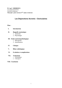 Disjonctions acromio-claviculaires