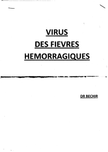 VIRUS DES FIEVRES HEMORRAGIQUES DR BECHIR