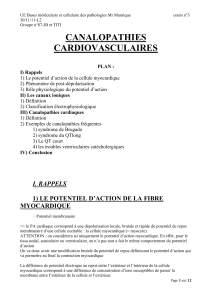 canalopathies cardiovasculaires