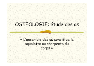 OSTEOLOGIE: étude des os « L’ensemble des os constitue le corps »