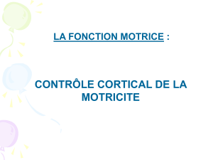CONTRÔLE CORTICAL DE LA MOTRICITE LA FONCTION MOTRICE :