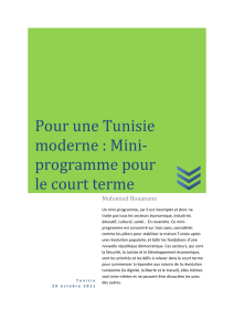 Pour une Tunisie moderne : Mini- programme pour le court terme