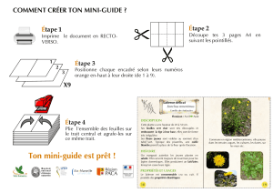 COMMENT CRÉER TON MINI-GUIDE ? 1 2