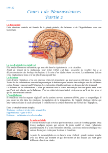 Cours 1 de Neurosciences Partie 2