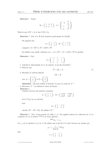 series exos matrices id rt1