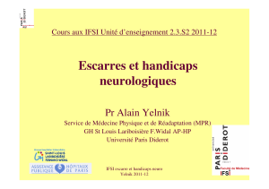 Escarres et handicaps neurologiques Pr Alain Yelnik