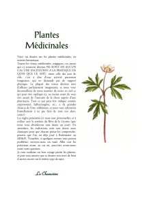 Plantes Médicinales