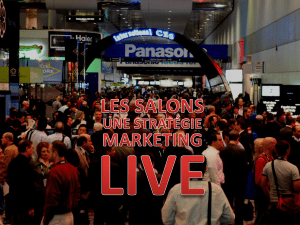 Les_salons_une_strategie_marketing_live_E_Preat.pdf