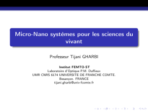 Micro-Nano systèmes pour les sciences du vivant Professeur Tijani GHARBI