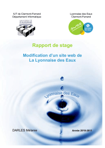 Rapport de stage  Modification d’un site web de La Lyonnaise des Eaux