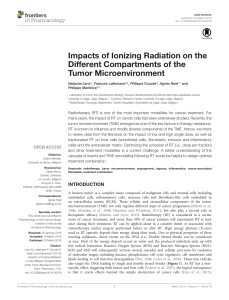 Impacts of Ionizing Radiation on the Different Compartments of the Tumor Microenvironment
