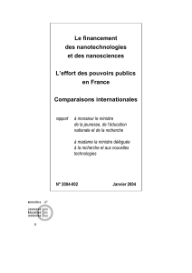 Télécharger Le financement des nanotechnologies et des nanosciences : l'effort des pouvoirs publics en France, comparaisons internationales au format PDF, poids 549.15 Ko