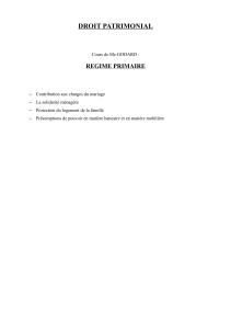 DROIT PATRIMONIAL REGIME PRIMAIRE