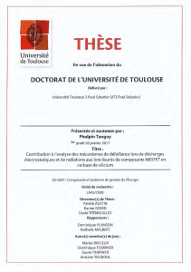 LAAS-CNRS - Tanguy Phulpin – Janvier 2017