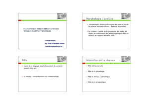 Morphologie / syntaxe