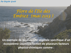 Flore de l’Ile des Embiez  (mai 2013 )