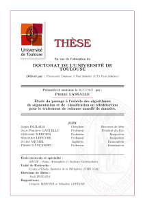 THÈSE DOCTORAT DE L’UNIVERSITÉ DE TOULOUSE