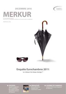 MErkur Enquête Eurochambres 2011: dECEMBrE 2010 Le retour du beau temps ?