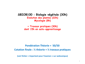 SBIOB100 : Biologie végétale (30h) Pondération Théorie =  50/50