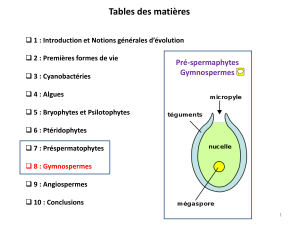 Tables des matières Pré-spermaphytes Gymnospermes