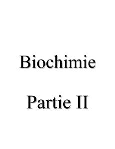 biochimie partie ii