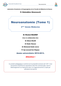 Neuroanatomie (Tome 1) 2 Année Médecine