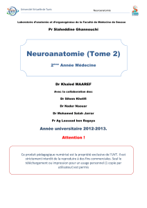 Neuroanatomie (Tome 2) 2 Année Médecine