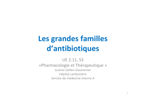 Les grandes familles d’antibiotiques UE 2.11, S3 «Pharmacologie et Thérapeutique »
