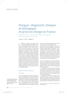 L Dengue : diagnostic clinique et biologique et prise en charge en France