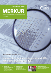 MErkur Conjoncture &eacute;conomique favorable en 006, optimisme prudent pour 007 dECEMBrE 006