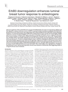 ErbB3 downregulation enhances luminal breast tumor response to antiestrogens Research article