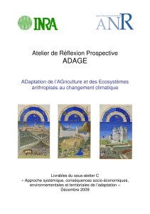 ADAGE Atelier de Réflexion Prospective  ADaptation de l’AGriculture et des Ecosystèmes