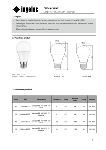 Fiche produit Lampe A55 et A60 LED – Eclairage